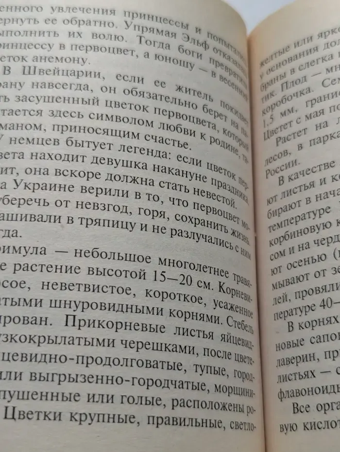Целебные садовые растения