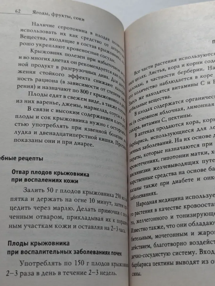Природный защитник. Ягоды, фрукты и соки. Полезные свойства и лучшие народные рецепты