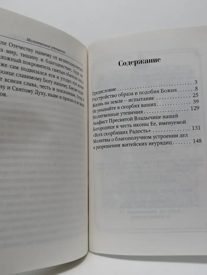 Святые отцы об утешении в минуту скорби. Скорби – чаша Христова