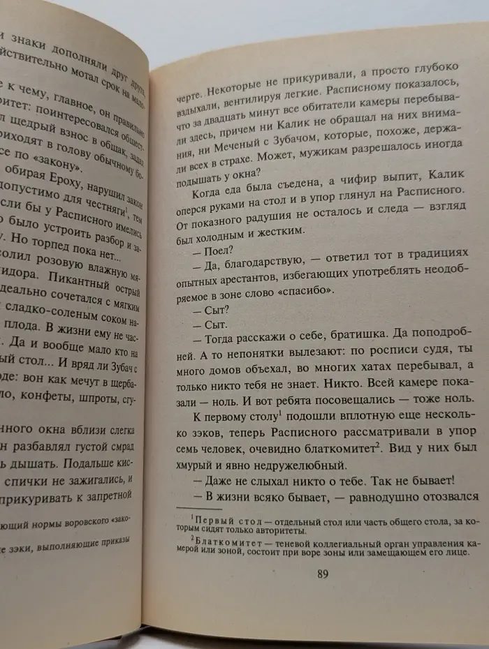 Черная кошка. Парфюм в Андорре. Адрес командировки - тюрьма. Криминальные приключения