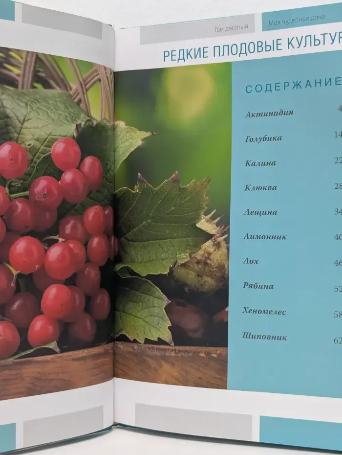 Моя чудесная дача. Редкие плодовые культуры. Том 10