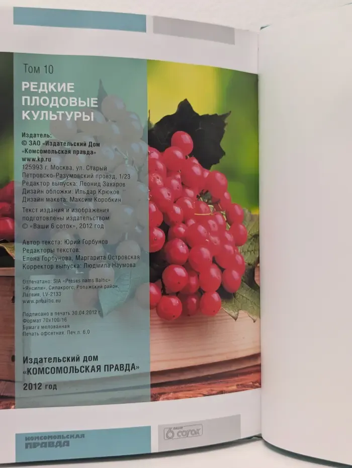 Моя чудесная дача. Редкие плодовые культуры. Том 10