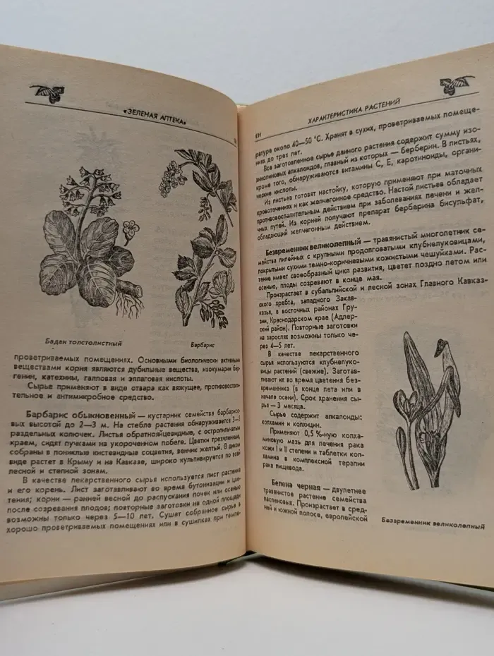 Народные целители. Домашний травник