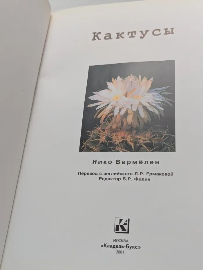 Кактусы. Всё, что нужно знать о кактусах и об уходе за ними