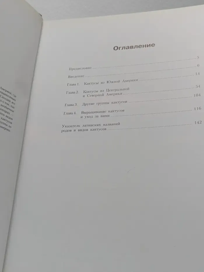 Кактусы. Всё, что нужно знать о кактусах и об уходе за ними