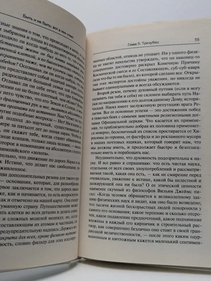 Не-2. Серия недвойственности. Быть и не быть: вот в чем ответ