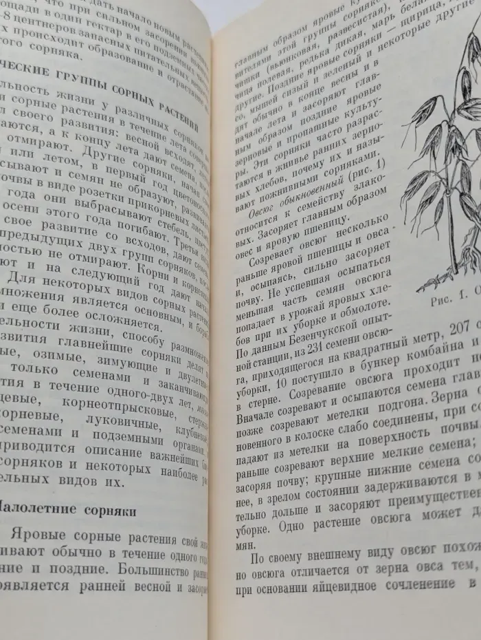 Борьба с сорняками