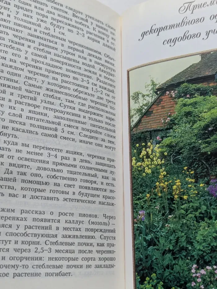 Цветы в вашем саду