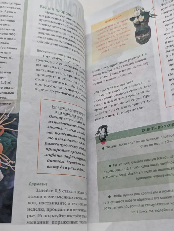 Справочник Целебника. Спецвыпуск № 2/2008. Целебные свойства цветов от А до Я. 300 рецептов здоровья и красоты
