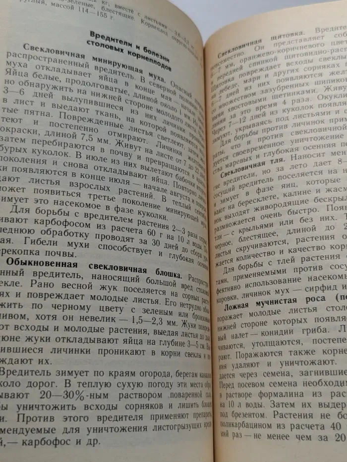 Огород