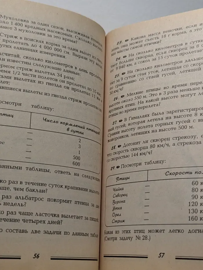 Занимательные задачи по математике для младших школьников