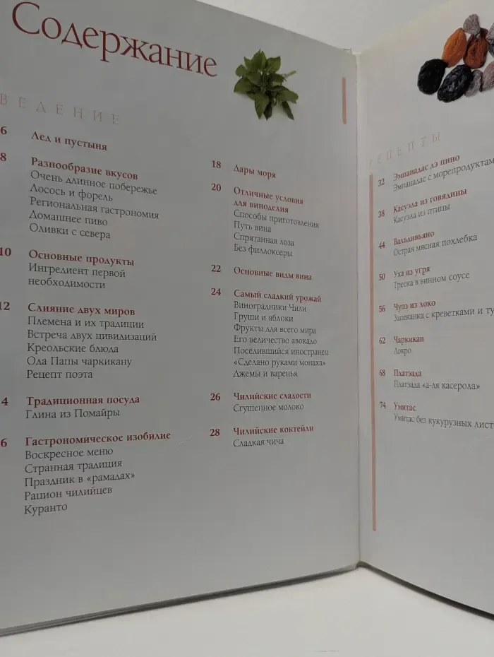 Кулинарные шедевры мира. Том. 13. Чилийская кухня шаг за шагом