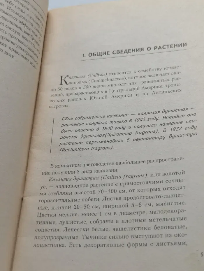 Золотой ус - для вашего здоровья