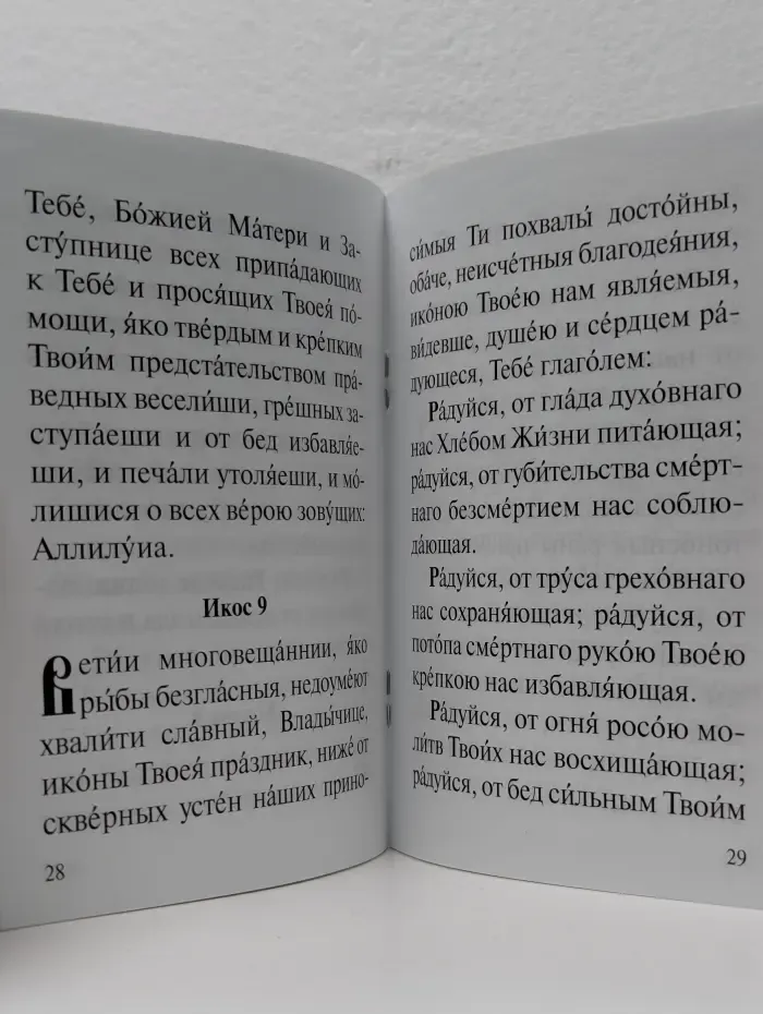 Акафист Пресвятей Богородице в честь иконы Ея «Утоли моя печали»