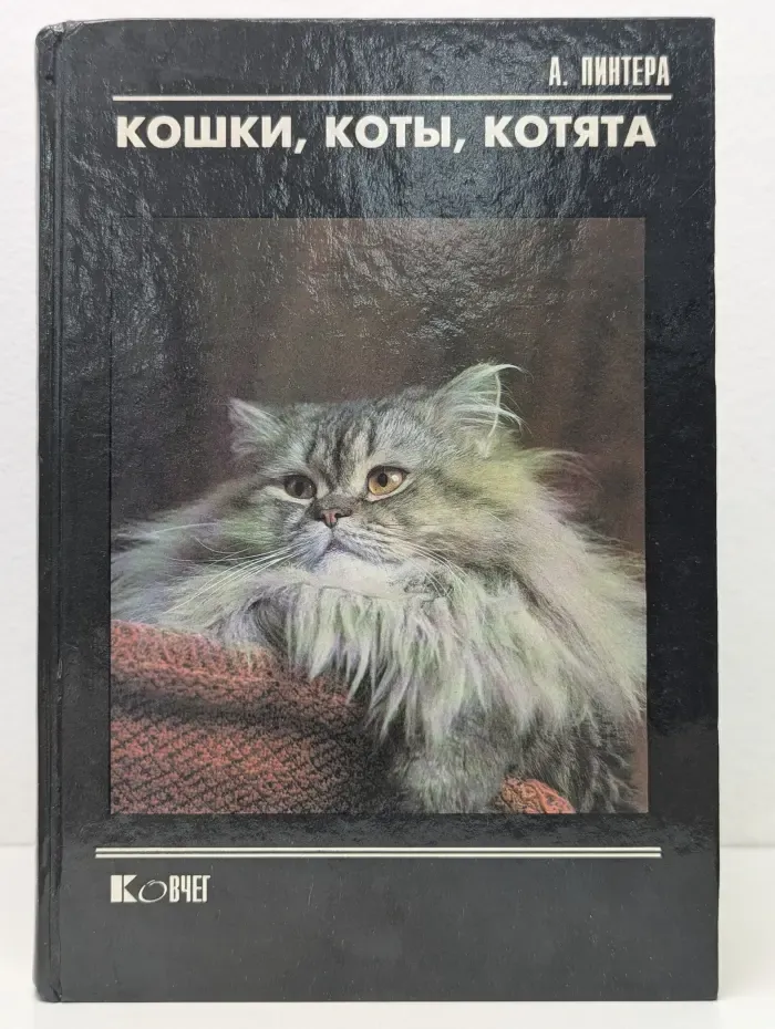 Кошки, коты, котята