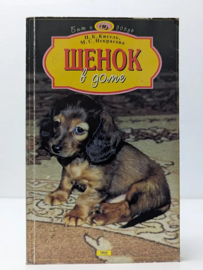 Щенок в доме