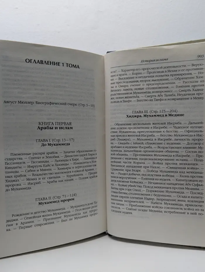 История ислама. От доисламской истории арабов до падения династии Аббасидов