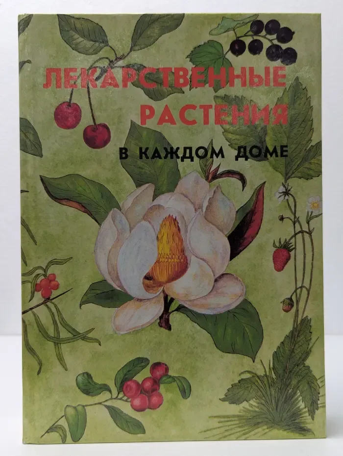 Лекарственные растения в каждом доме