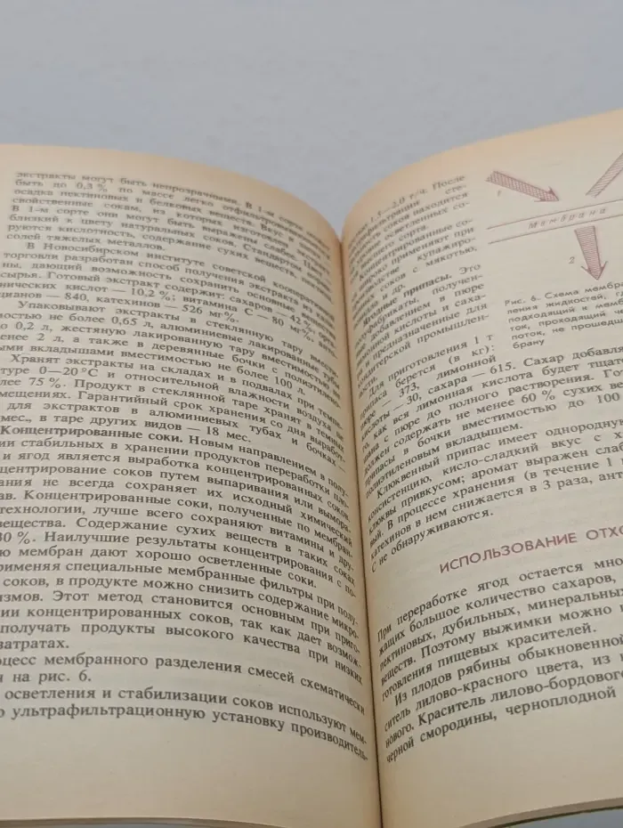 Заготовки, хранение и переработка дикорастущих ягод и грибов