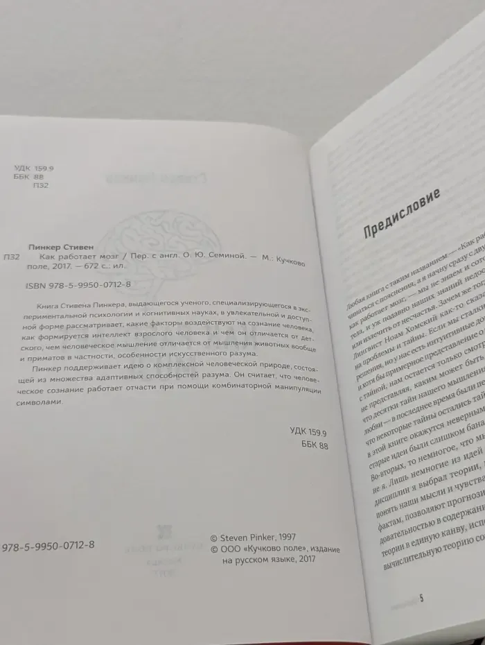 Как работает мозг