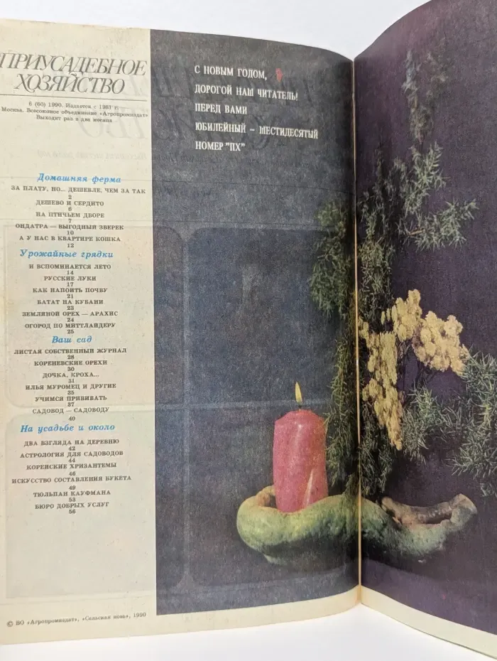 Приусадебное хозяйство. Выпуск №6/1990