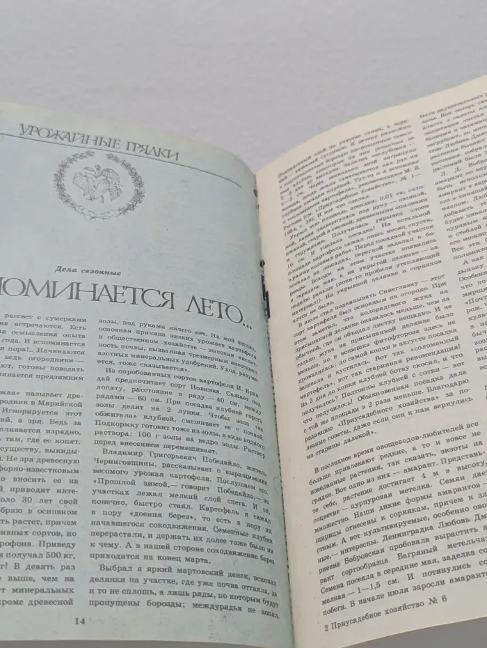 Приусадебное хозяйство. Выпуск №6/1990