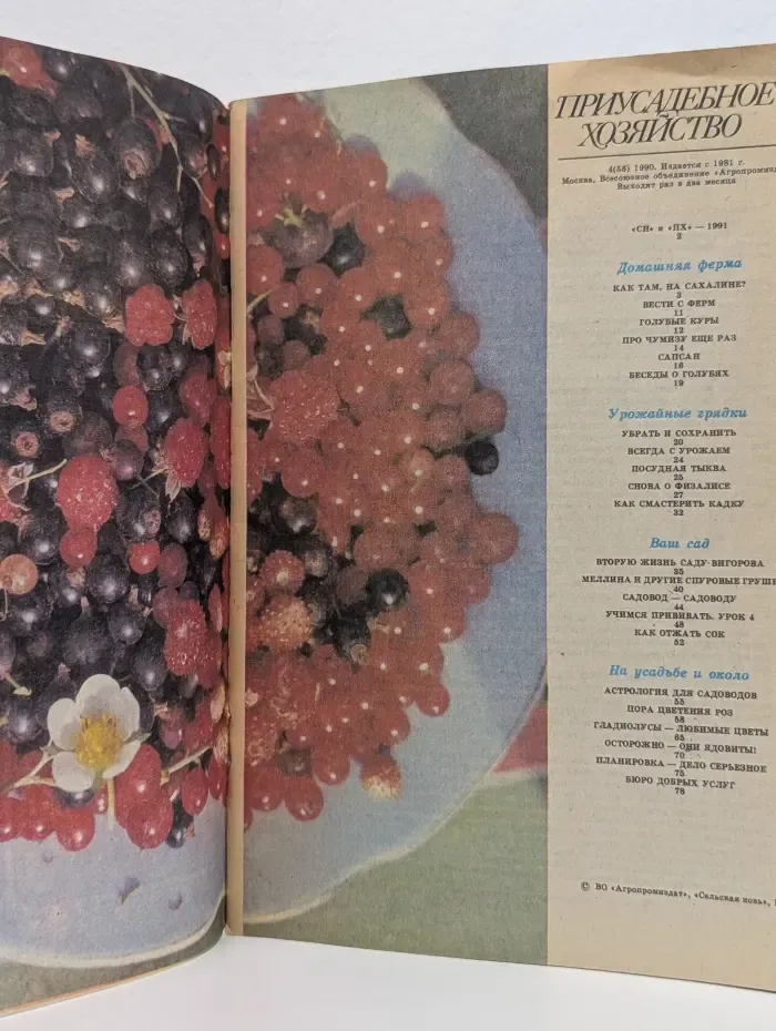 Приусадебное хозяйство. Выпуск № 4/1990