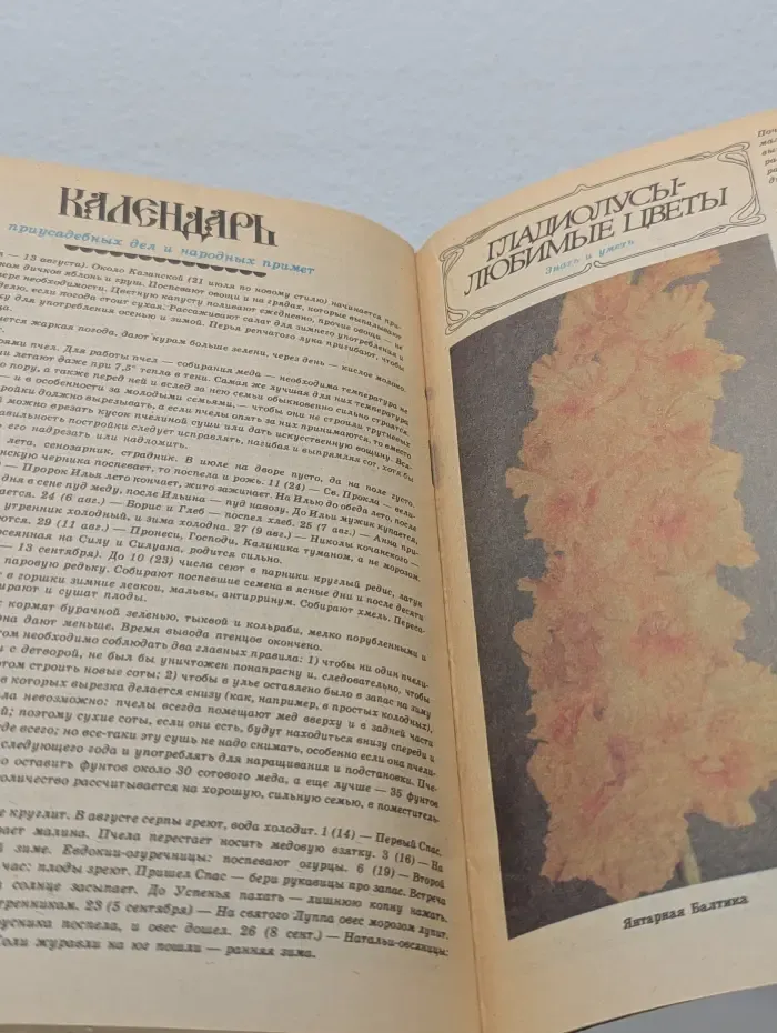 Приусадебное хозяйство. Выпуск № 4/1990
