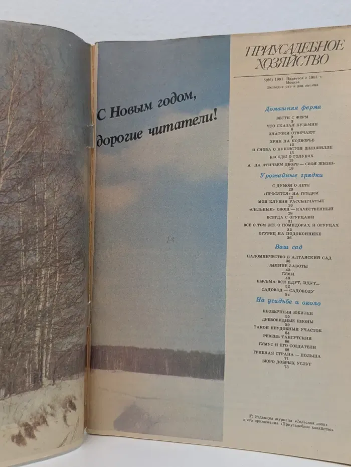 Приусадебное хозяйство. Выпуск № 6/1991