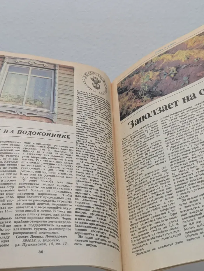 Приусадебное хозяйство. Выпуск № 6/1991