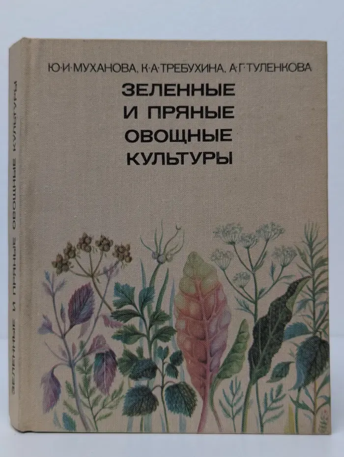 Зеленные и пряные овощные культуры