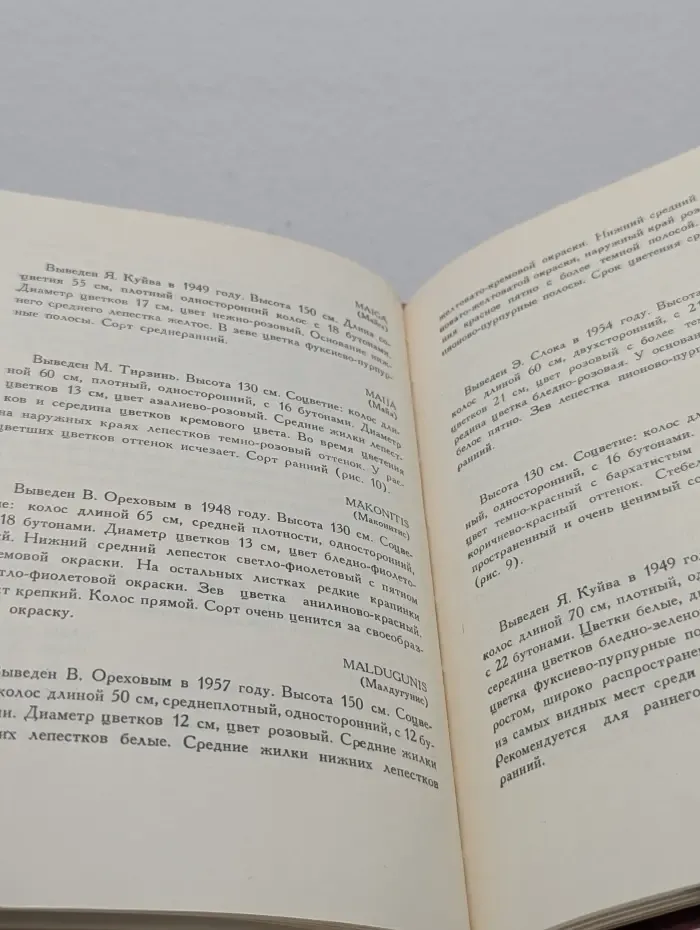 Гладиолусы