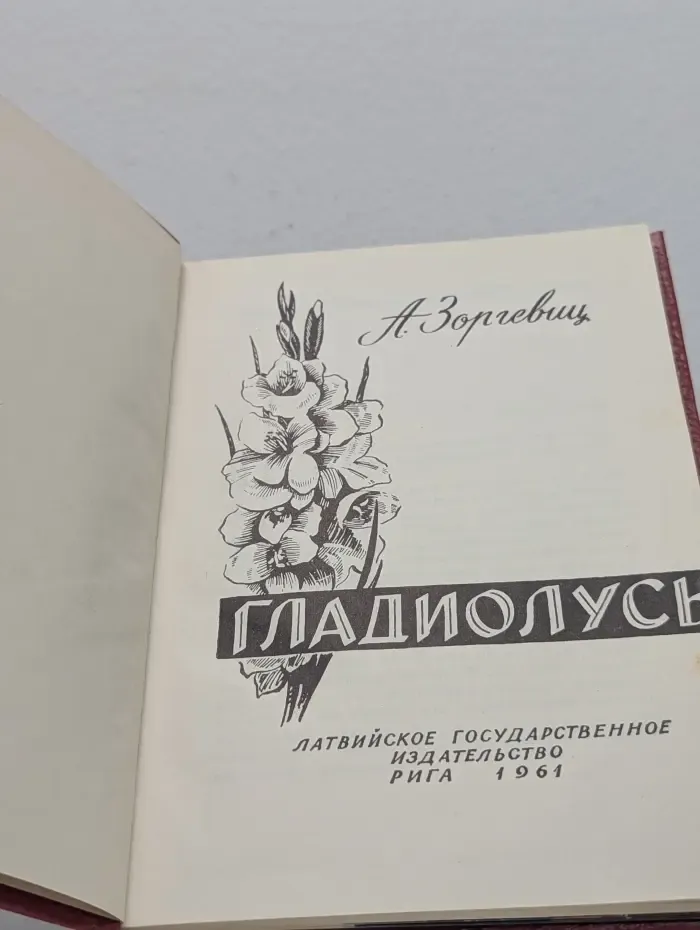 Гладиолусы