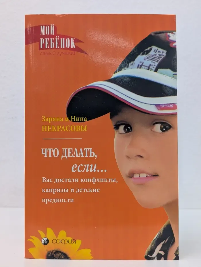 Что делать, если... Вас достали конфликты, капризы и детские вредности
