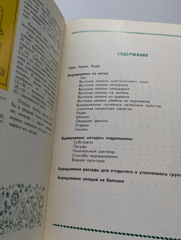 Огород в комнате
