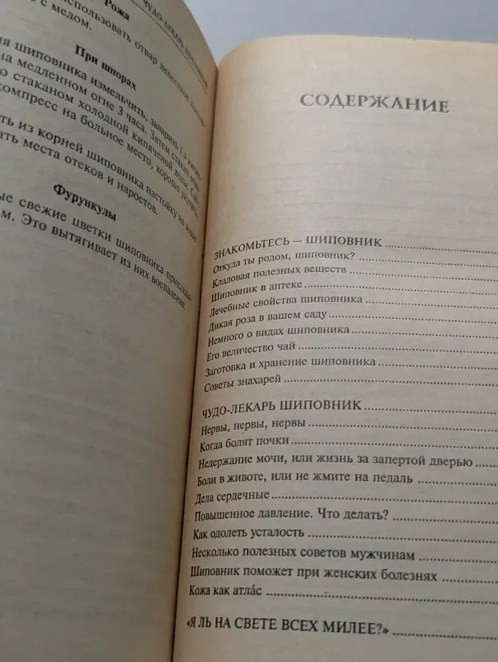Доктор Шиповник