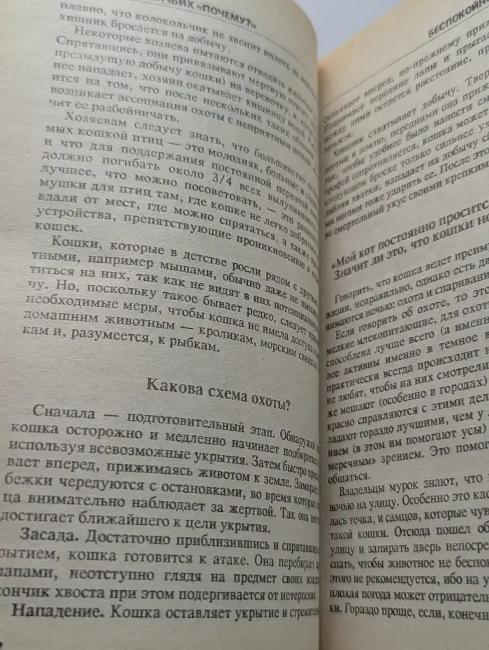 Библиотека Птичьего рынка. 200 кошачьих почему