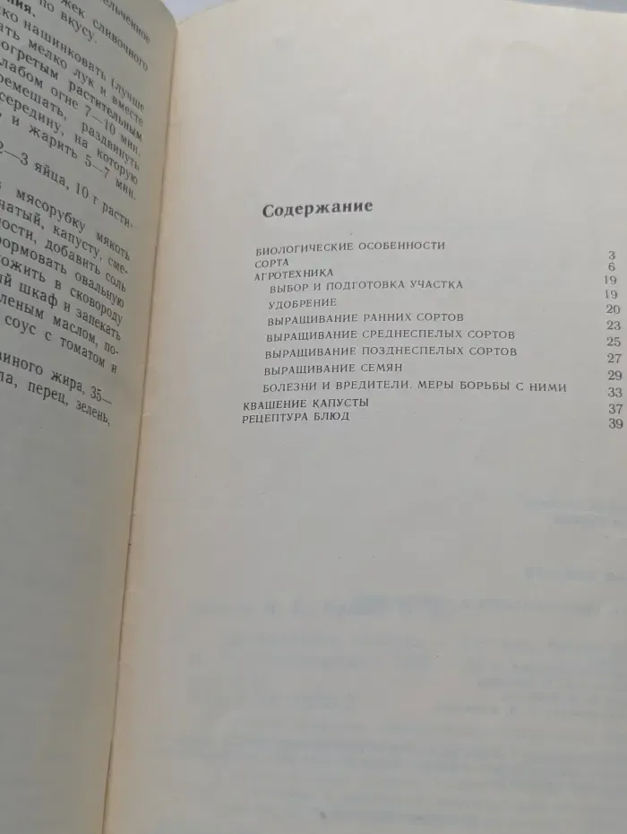 Белокочанная капуста