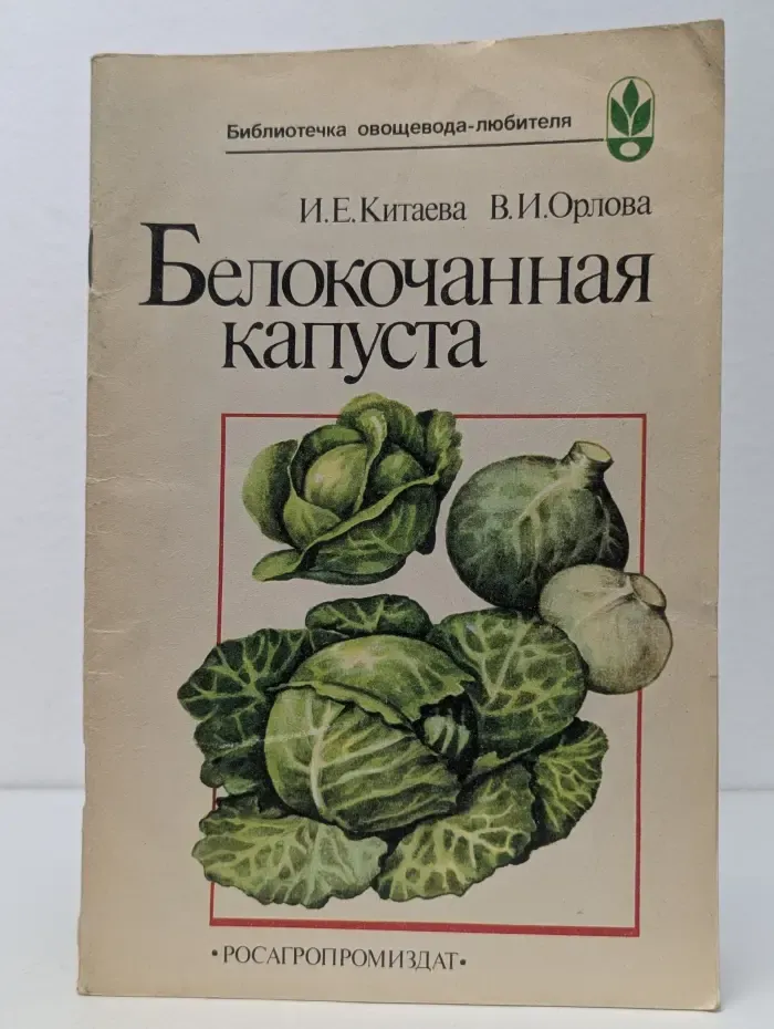 Белокочанная капуста
