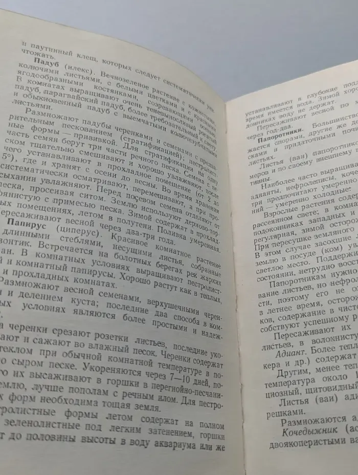 Комнатное цветоводство