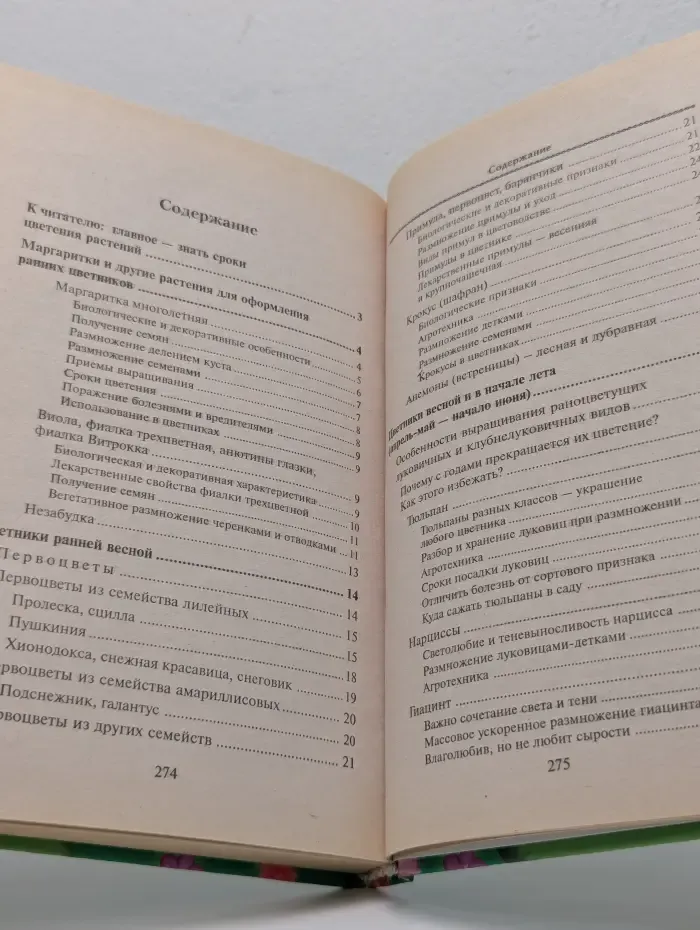 Мир цветов и растений. Маргаритки и другие красивоцветущие растения