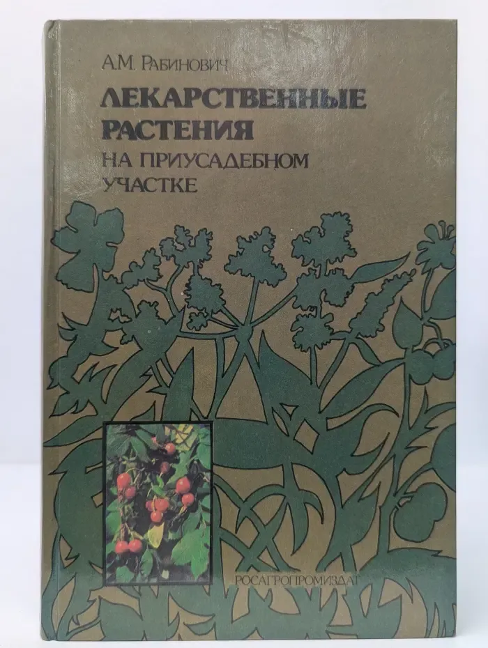 Лекарственные растения на приусадебном участке