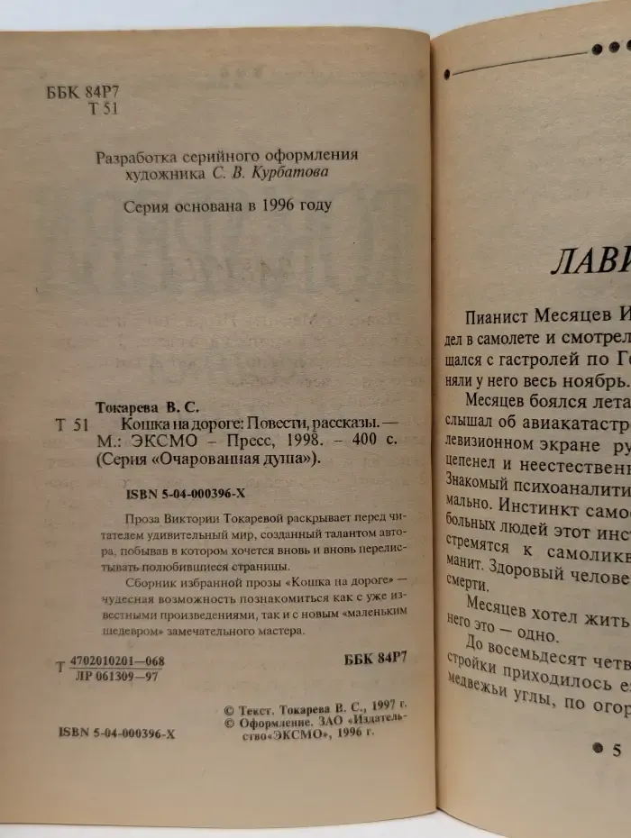 Очарованная душа. Кошка на дороге