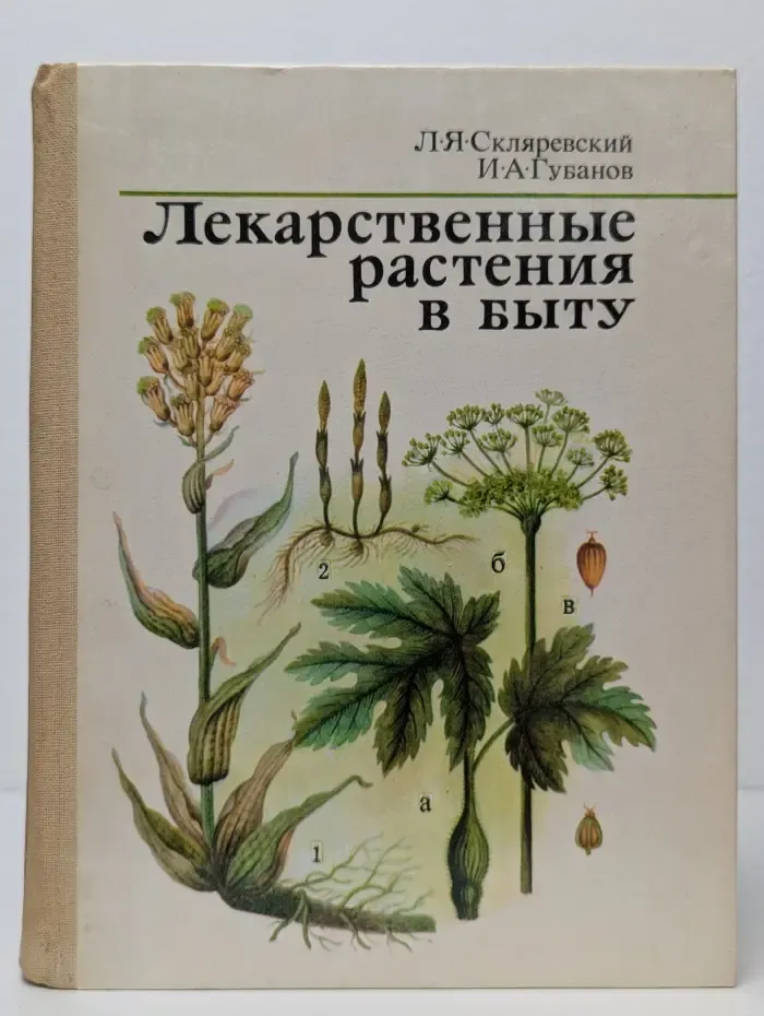 Лекарственные растения в быту