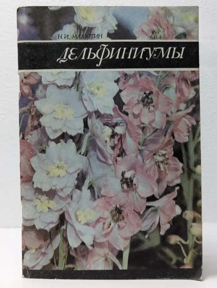 Дельфиниумы