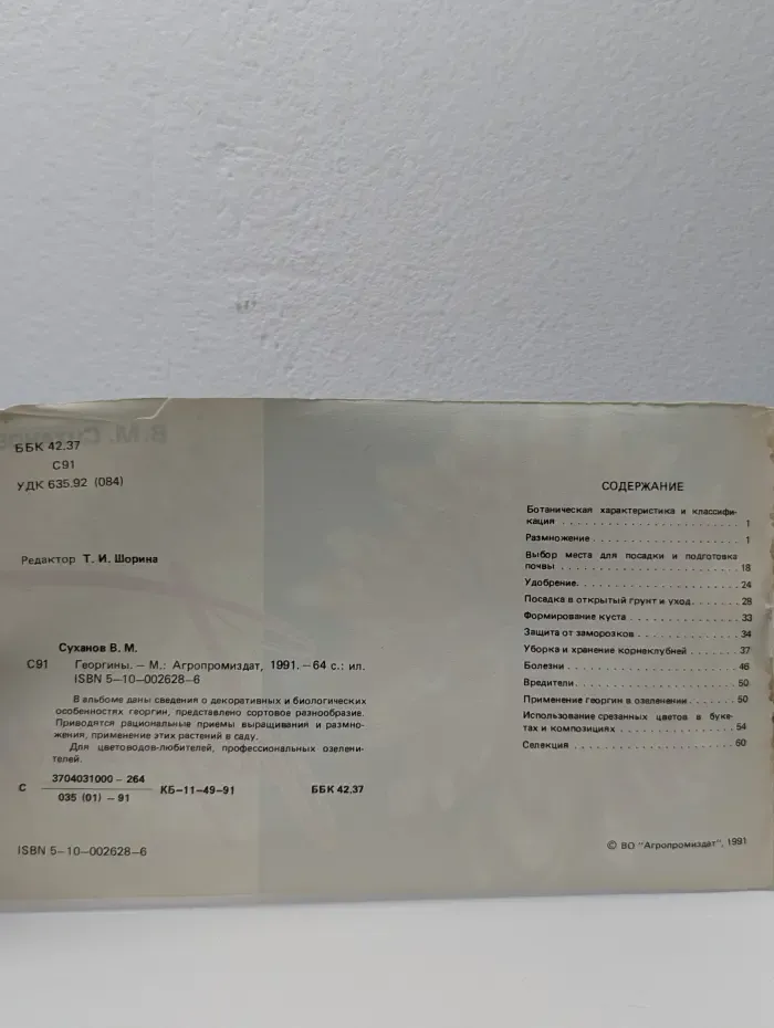Георгины