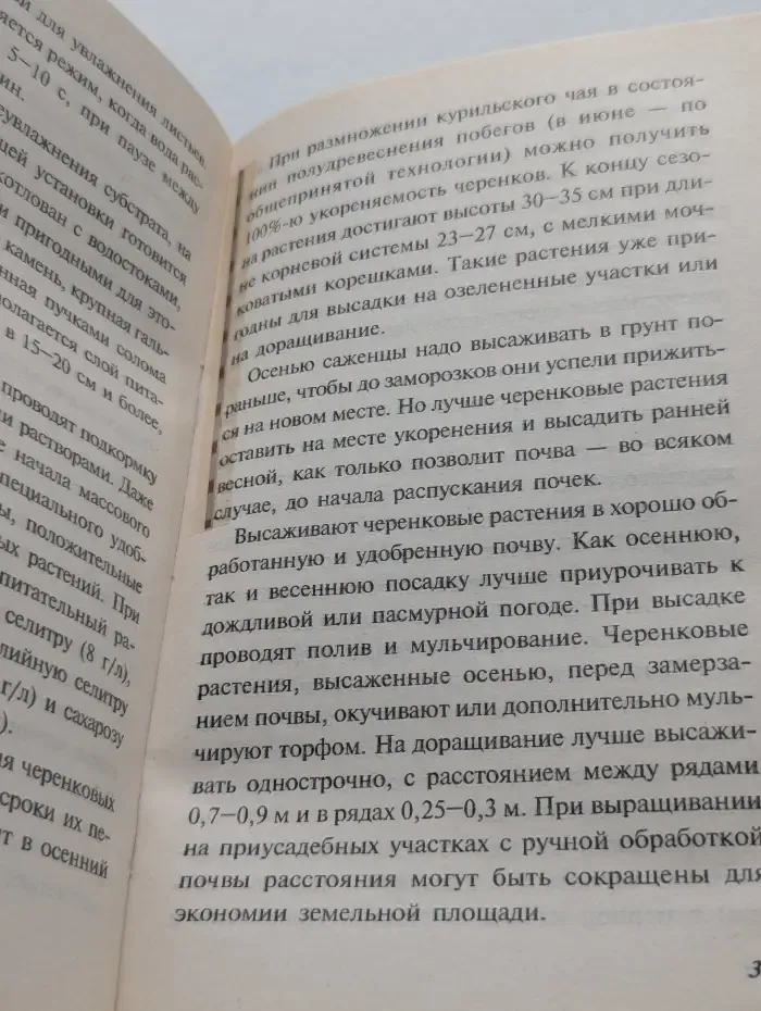 Курильский чай