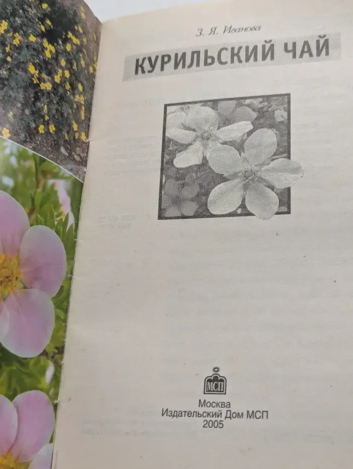 Курильский чай