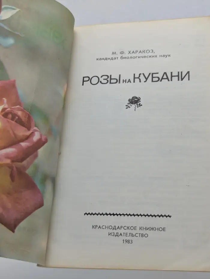 Розы на Кубани