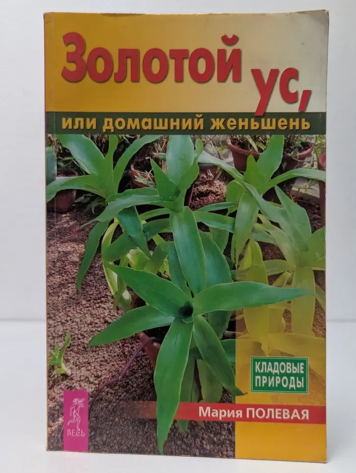 Кладовые природы. Золотой ус, или домашний женьшень
